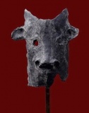 Tribu de Salers 2